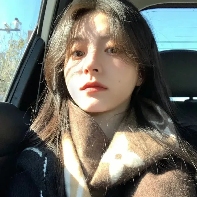 热带雨林的爆笑生活