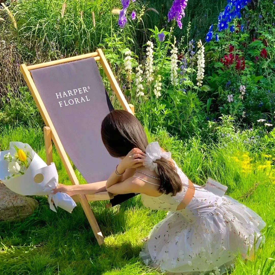 天才麻将少女：阿知贺篇 电影版